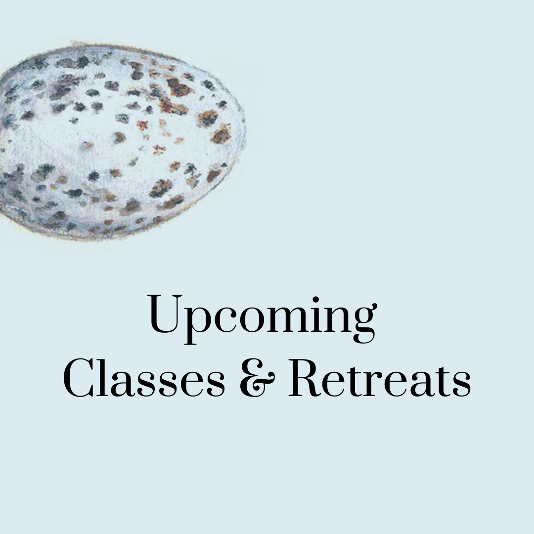 Upcoming Classes & Retreats text on blue background with egg image